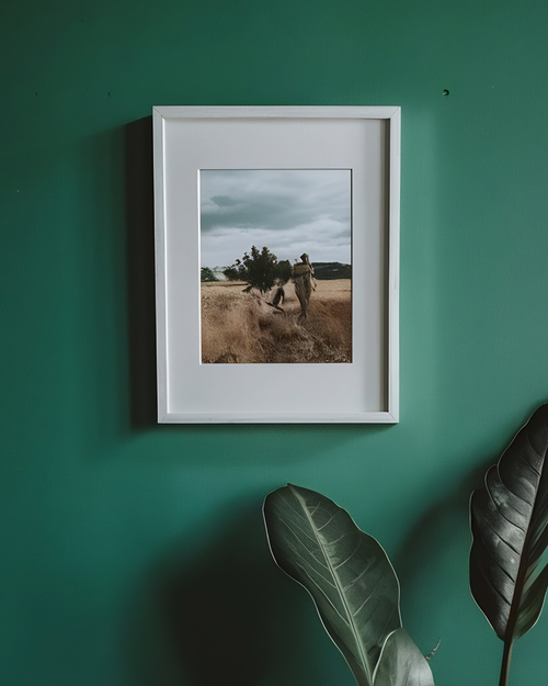Quiet Meadow Photography